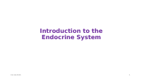 Introduction to the Endocrine System.pptx